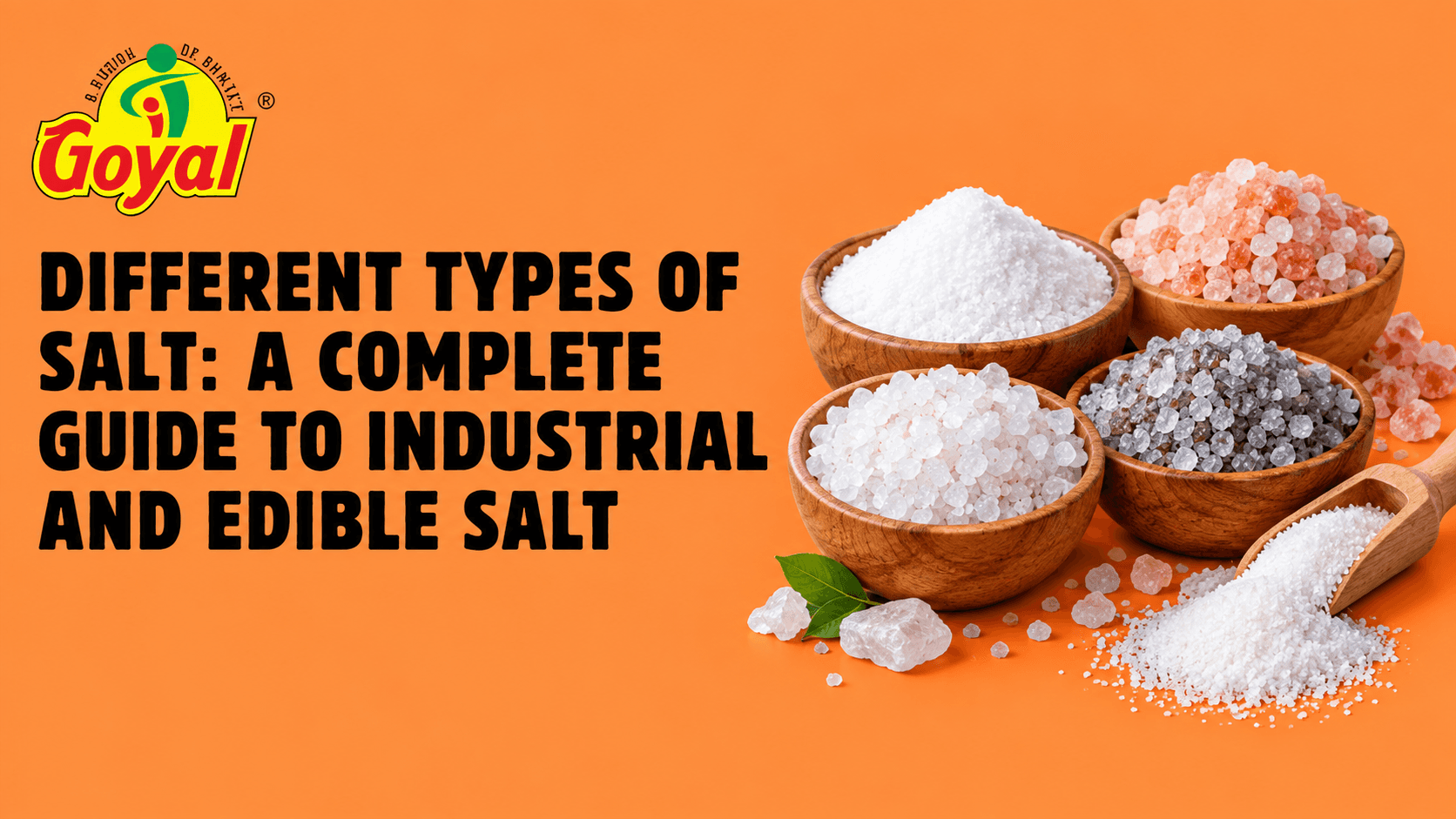Different Types of Salt: A Complete Guide to Industrial and Edible Salt